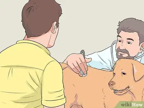 Image intitulée Treat a Dog with a Cold Step 8