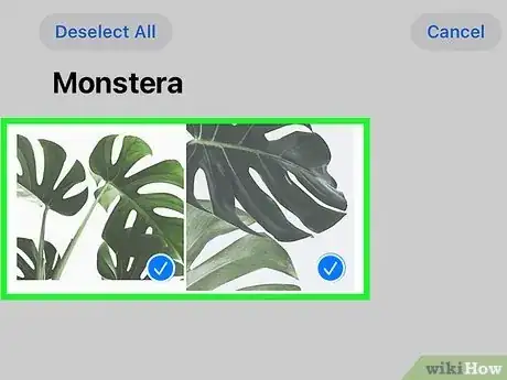 Image intitulée Attach Photos and Videos to Emails on an iPhone or iPad Step 12