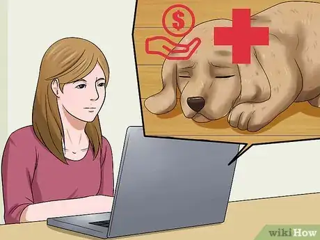 Image intitulée Choose a Healthy Puppy Step 9
