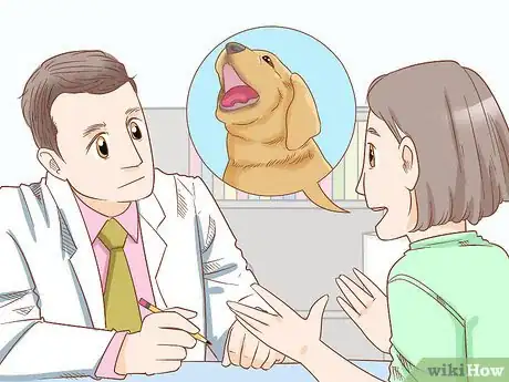 Image intitulée Stop a Puppy from Barking Step 12