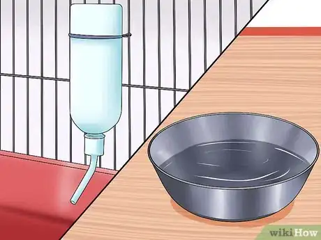 Image intitulée Care for a House Rabbit Step 14