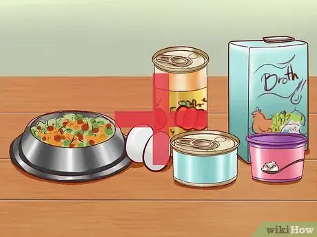 Image intitulée Get Dogs to Gain a Healthy Weight Step 8