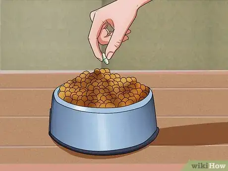 Image intitulée Get Your Dog to Swallow a Pill Step 2