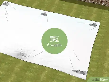 Image intitulée Get Rid of Quack Grass Step 10