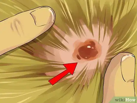 Image intitulée Give a Small Dog a Bath Step 11