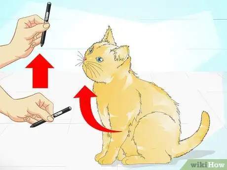 Image intitulée Clicker Train a Cat Step 19