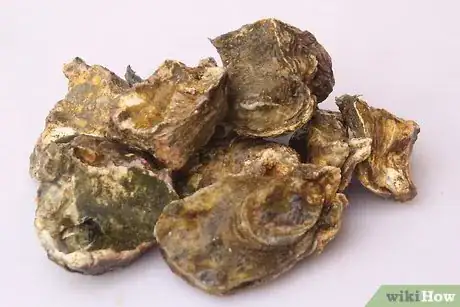 Image intitulée Store Fresh Oysters Step 8