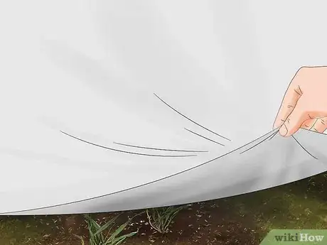 Image intitulée Get Rid of Quack Grass Step 15