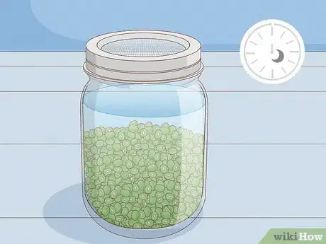 Image intitulée Grow Sprouts Step 2