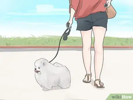 Image intitulée Control Arthritis Pain in Dogs Step 6