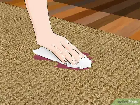 Image intitulée Clean a Jute Rug Step 5