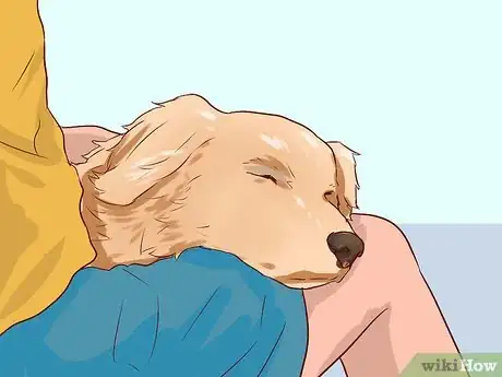 Image intitulée Love Your Dog Step 6