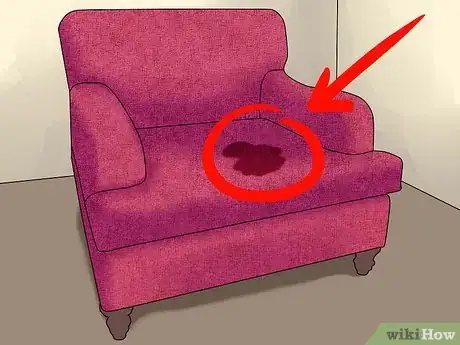Image intitulée Remove the Smell of Cat or Dog Urine from Upholstery Step 1