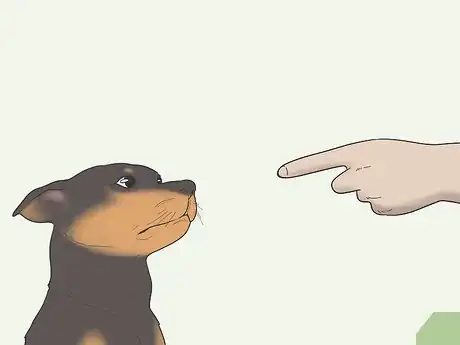 Image intitulée Get Your Small Dog to Stop Biting and Barking at You Step 14