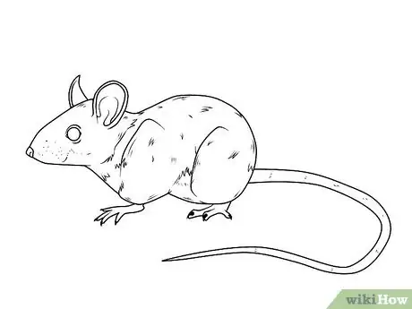 Image intitulée Draw a Mouse Step 14