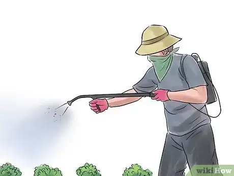 Image intitulée Grow Peanuts Step 17