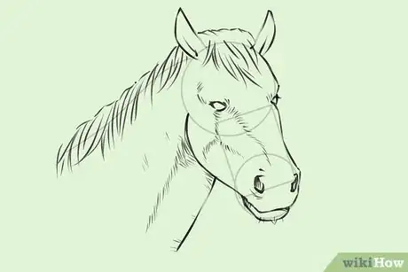 Image intitulée Draw a Horse Step 19