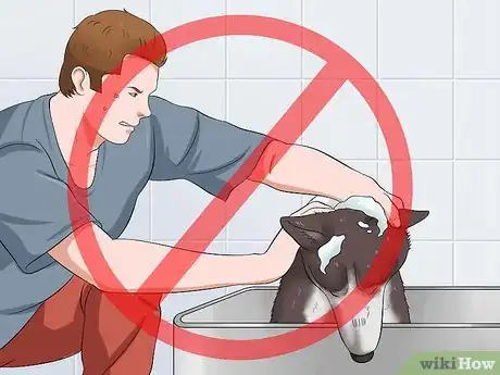 Image intitulée Bathe a Dog and Keep It Calm Step 17