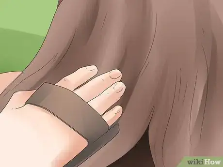 Image intitulée Braid a Horse's Mane Step 4