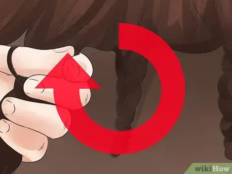 Image intitulée Braid a Horse's Mane Step 9