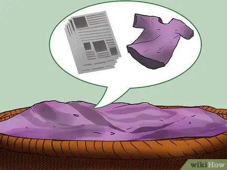 Image intitulée Keep a Pet Squirrel Step 14