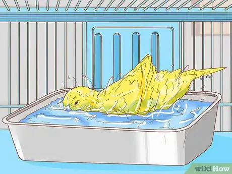 Image intitulée Care for Your Canary Step 10