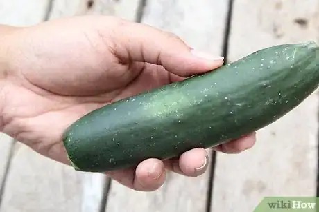 Image intitulée Make Crispy Dill Pickles Step 3Bullet1