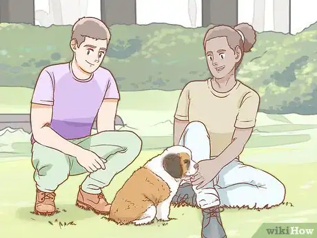 Image intitulée Care for a Saint Bernard Step 1
