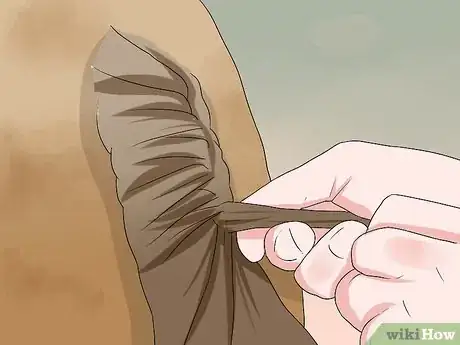Image intitulée Plait a Horse's Tail Step 10