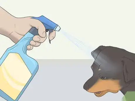 Image intitulée Get Your Small Dog to Stop Biting and Barking at You Step 15