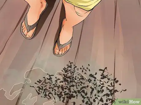Image intitulée Get Rid of Bats Step 2