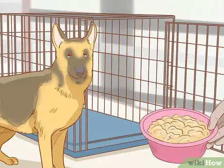 Image intitulée Crate Train an Older Dog Step 5