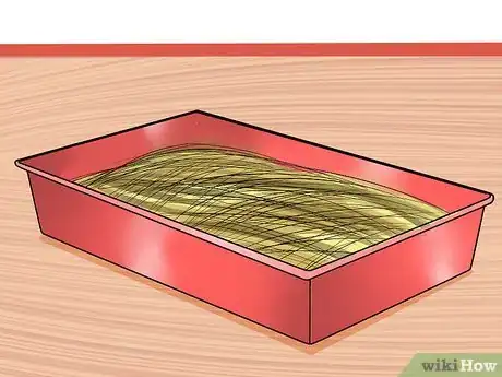 Image intitulée Care for a House Rabbit Step 11