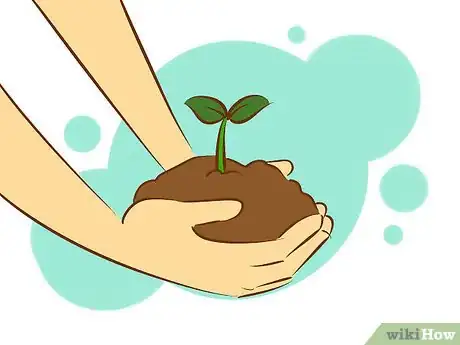 Image intitulée Create a Butterfly Garden Step 6