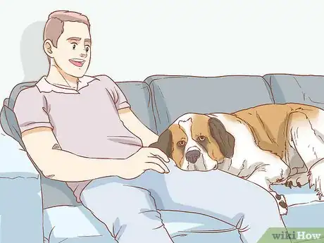 Image intitulée Care for a Saint Bernard Step 6