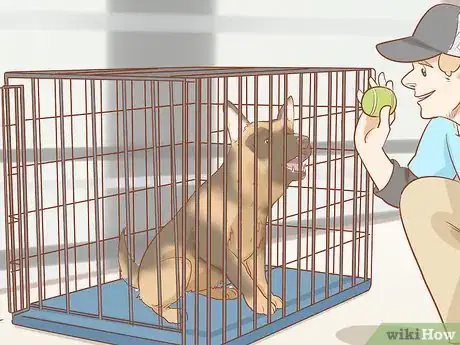 Image intitulée Crate Train an Older Dog Step 9