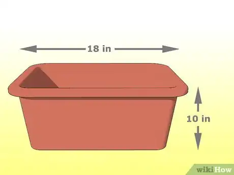 Image intitulée Grow Cilantro Step 8