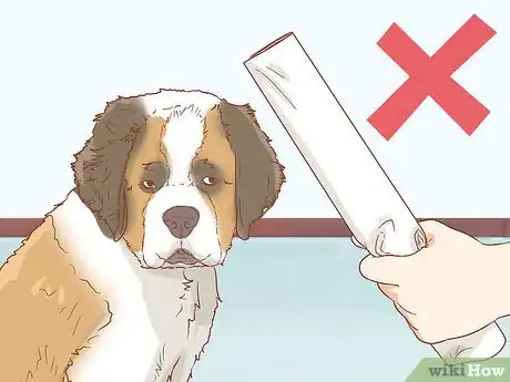 Image intitulée Care for a Saint Bernard Step 2
