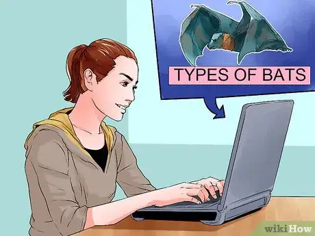 Image intitulée Get Rid of Bats Step 3