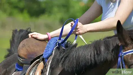 Image intitulée Mount a Horse Step 5