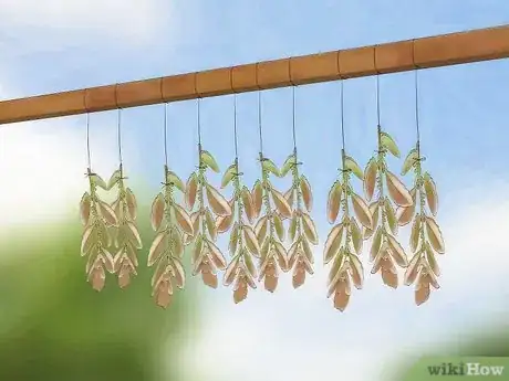 Image intitulée Grow Oregano Step 13