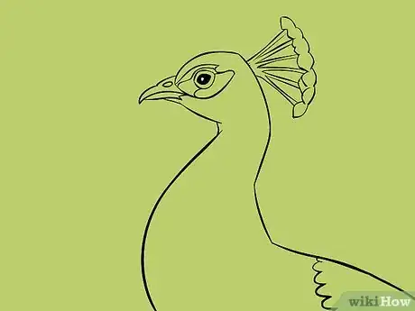 Image intitulée Draw an Exotic Peacock Step 25