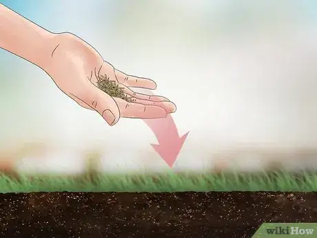 Image intitulée Get Rid of Quack Grass Step 11