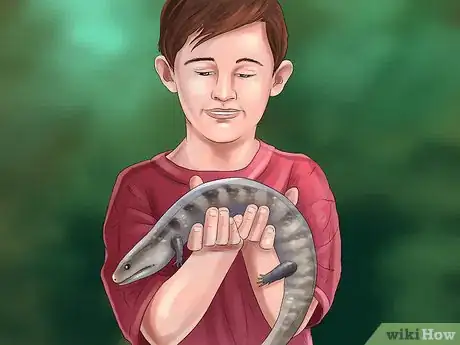 Image intitulée Care for a Skink Step 13