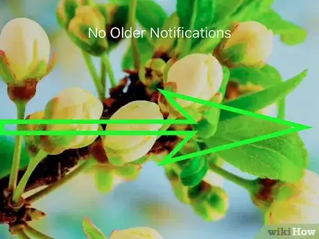 Image intitulée Free Up Space on Your iPhone Step 50