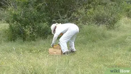 Image intitulée Raise Bees Step 2