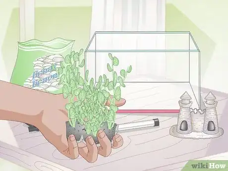 Image intitulée Set Up a Betta Tank Step 5