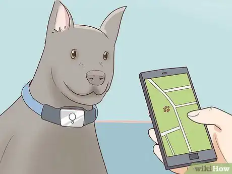 Image intitulée Find a Lost Dog Step 31