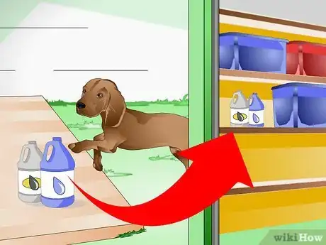 Image intitulée Care for a Sick Dog Step 17