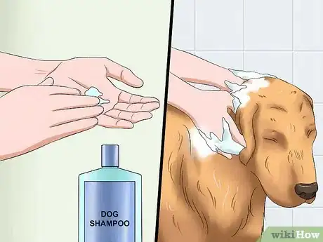 Image intitulée Bathe a Dog and Keep It Calm Step 13
